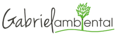 Instituto Educacional Gabriel Ambiental
